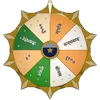 Spin the Wheel of Fortune welfare icon